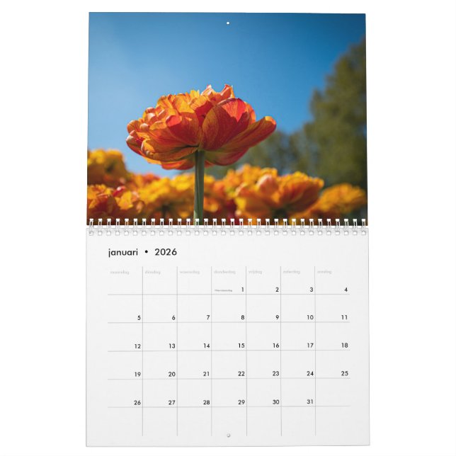 Calendário Lindas Tulipas Holandesas (Jan 2026)