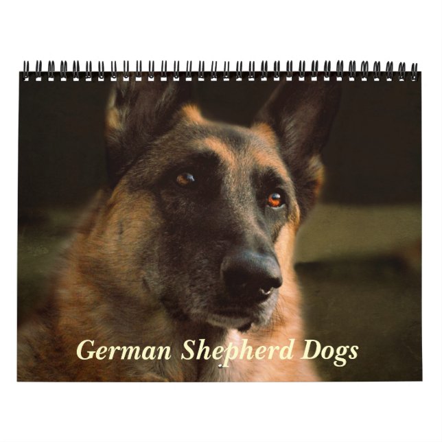 Calendário lindo do cão de german shepherd (Capa)
