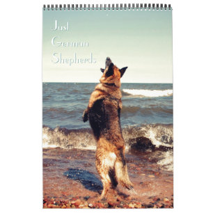 Calendário lindo do german shepherd