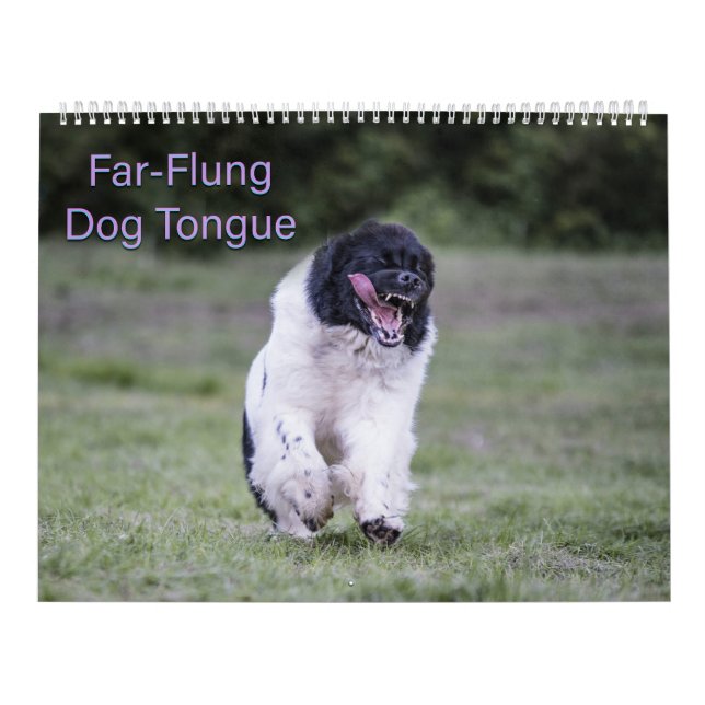 Calendário Língua de cães de pulgas (Capa)