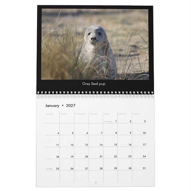 Calendário litoral 2018 dos animais selvagens de (Jan 2027)
