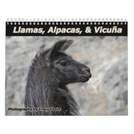 Calendário Llamas selvagens e Alpacas