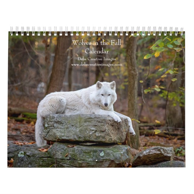 Calendário Lobos no outono de 2026 (Capa)