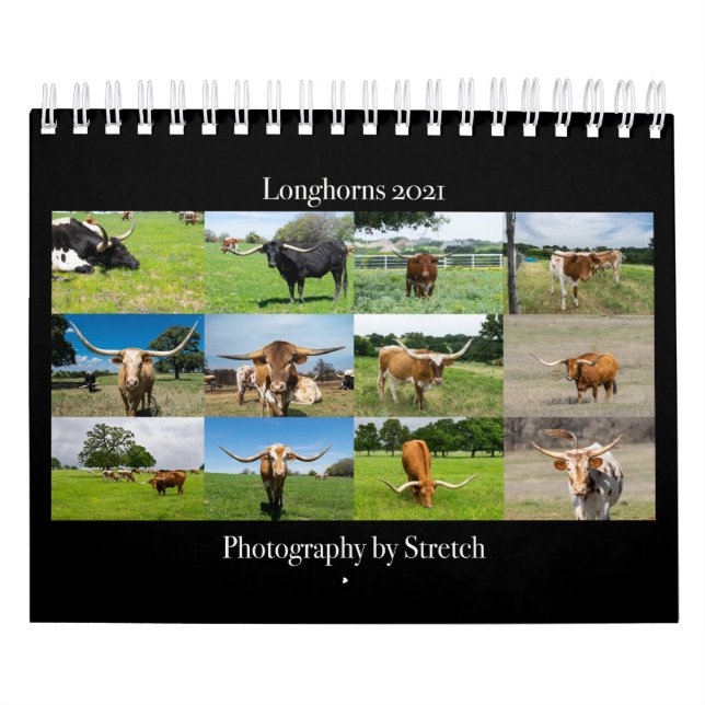 Calendário Longhorn Cattle Photography (Capa)