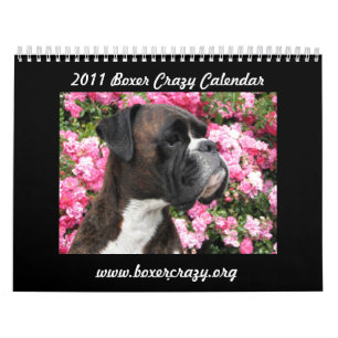 Calendário louco 2011 do pugilista