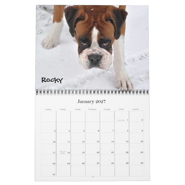 Calendário louco 2012 do pugilista (Jan 2027)