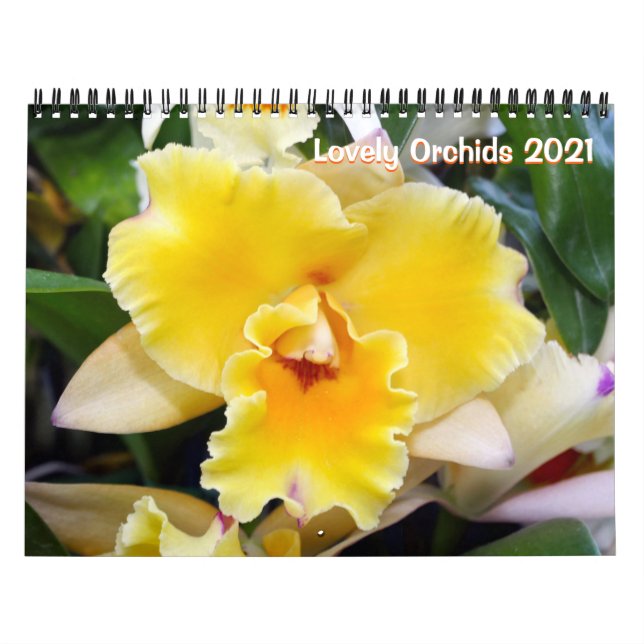 Calendário Lovely Orchids 2021 (Capa)
