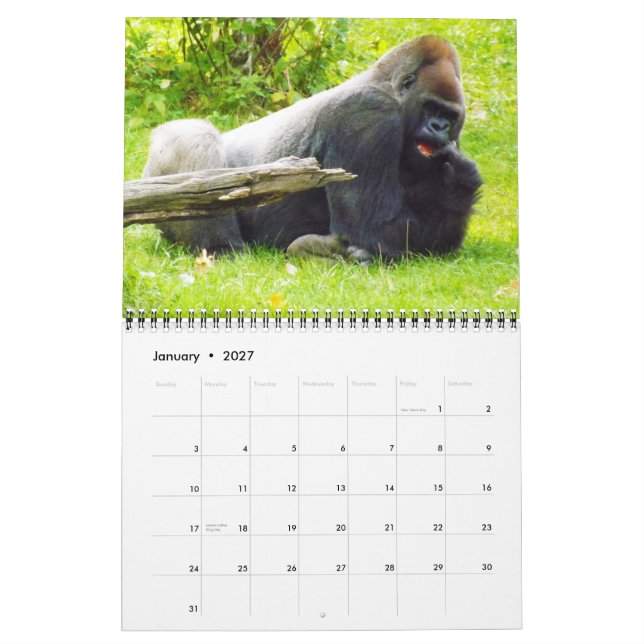 Calendário Lowland Gorillas do Jardim Zoológico de Kansas Cit (Jan 2027)