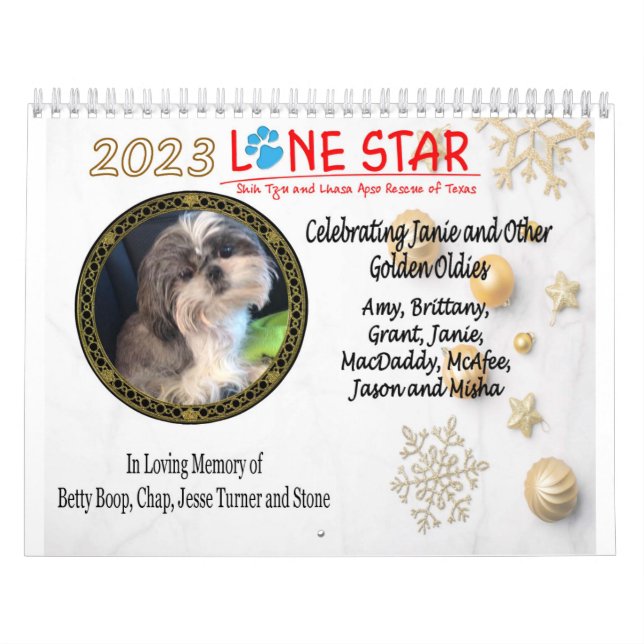 Calendário LSSTLAR 2023 (Capa)