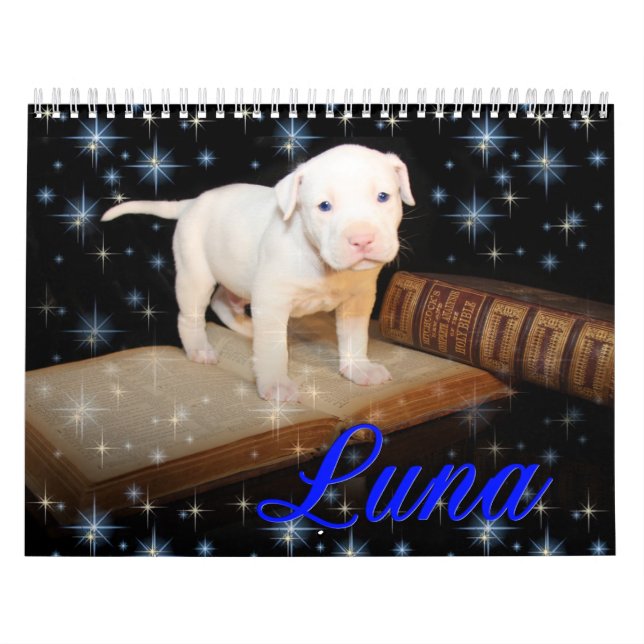 Calendário Luna o cão de filhote de cachorro abandonado (Capa)