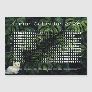 Calendário Lunar 2026 Fases da Lua Monstera gatos