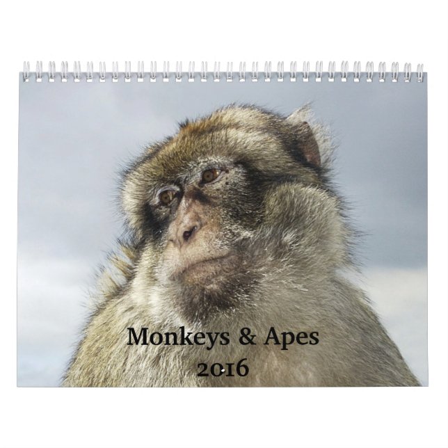 Calendário Macacos e Macacos 2016 (Capa)