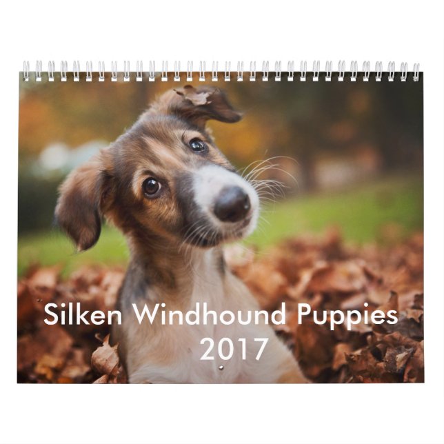 Calendário macio 2017 do filhote de cachorro (Capa)