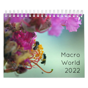 Calendário Macro World 2022
