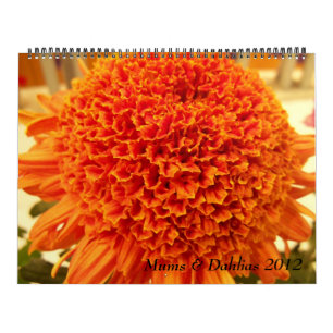 Calendário Mães & dálias 2012
