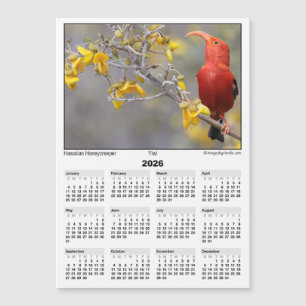 Calendário Magnético 2026 5x7 Iiwi HawaiianHoneycr