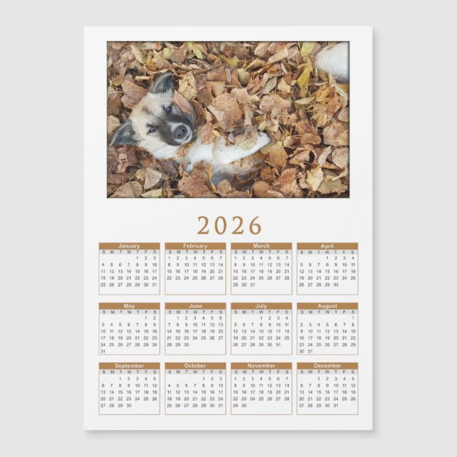 calendário magnético 2026 com seus animais (Frente)