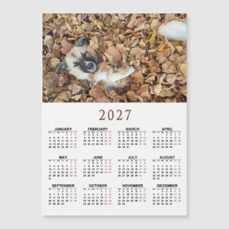 Calendário magnético 2027 com seus animais