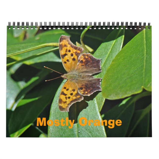 Calendário - Maioria Laranja (Capa)