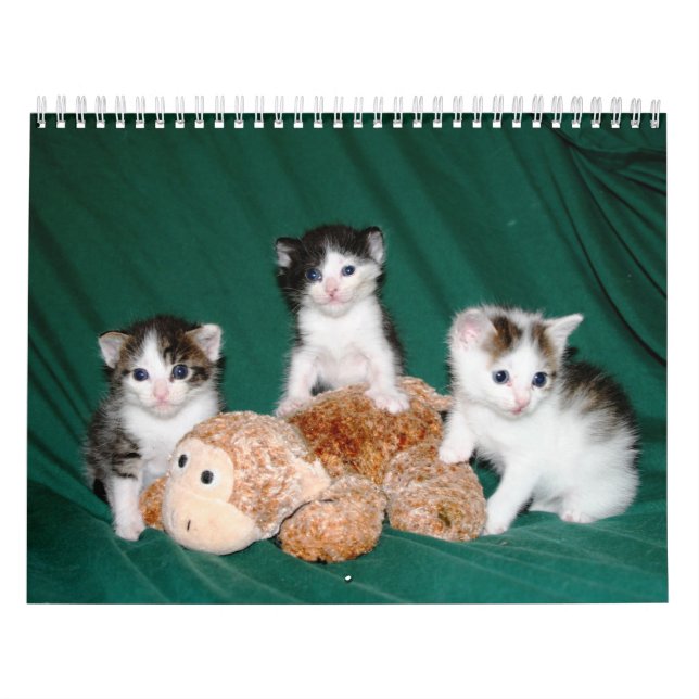 Calendário Mais gatinhos! (Capa)