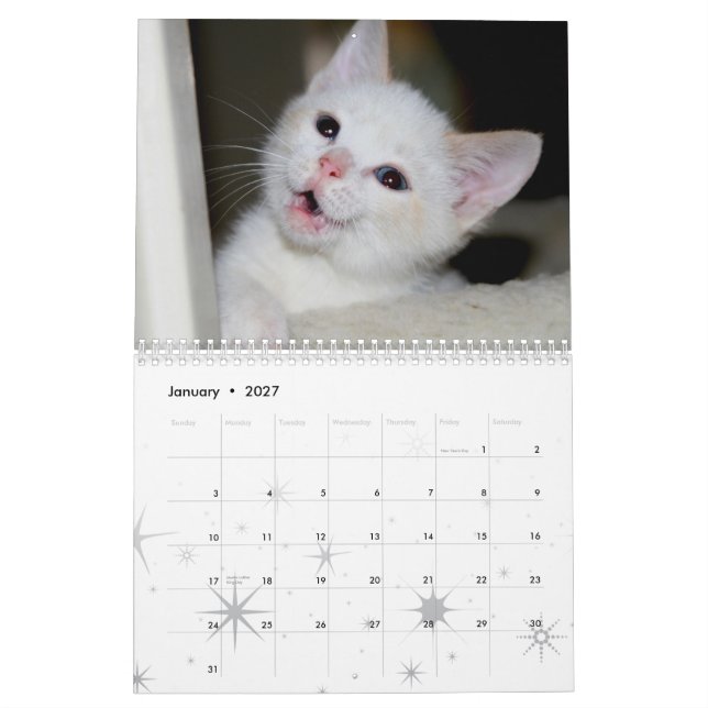 Calendário Mais gatinhos! (Jan 2027)