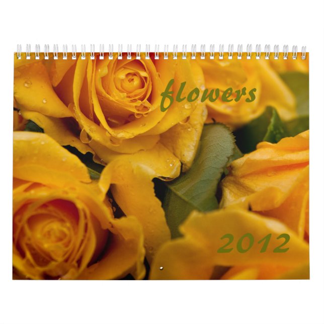 Calendário mais rápido 2012 (Capa)