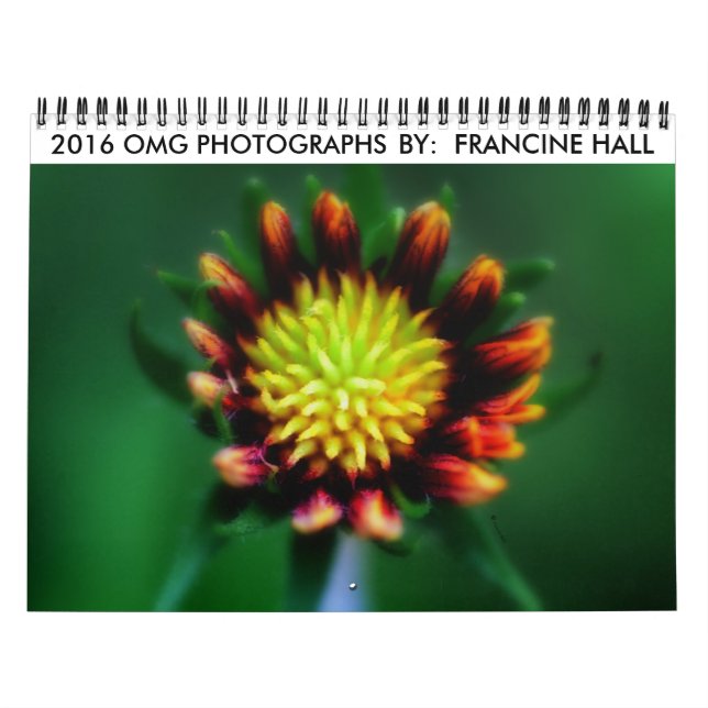 Calendário mais rápido 2016 (Capa)