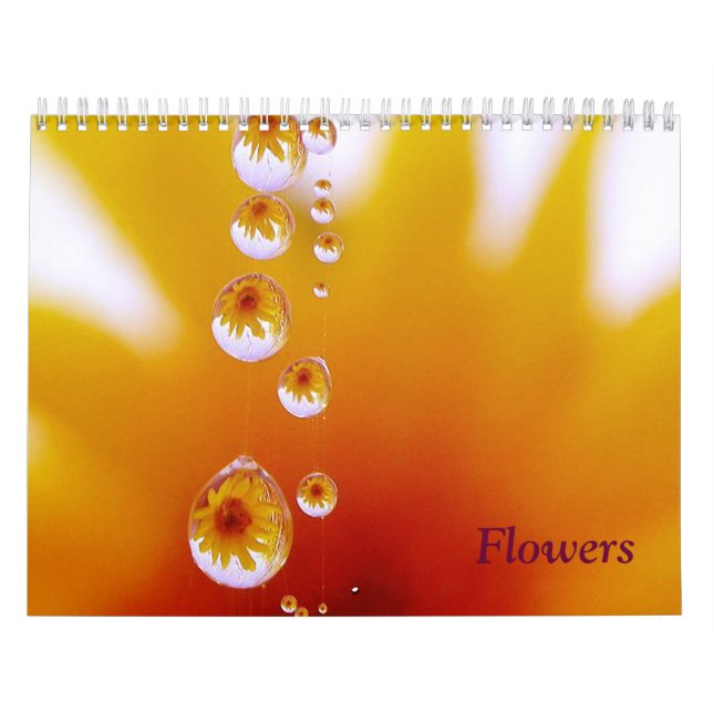 Calendário mais rápido de Linda Murphy (Capa)