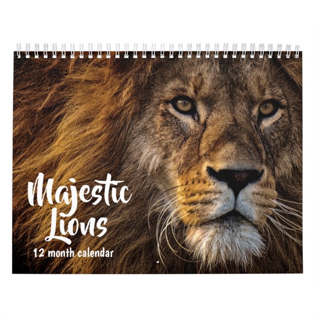 Calendário Majsty Lions 2026 (Capa)