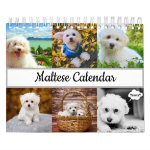 Calendário maltês