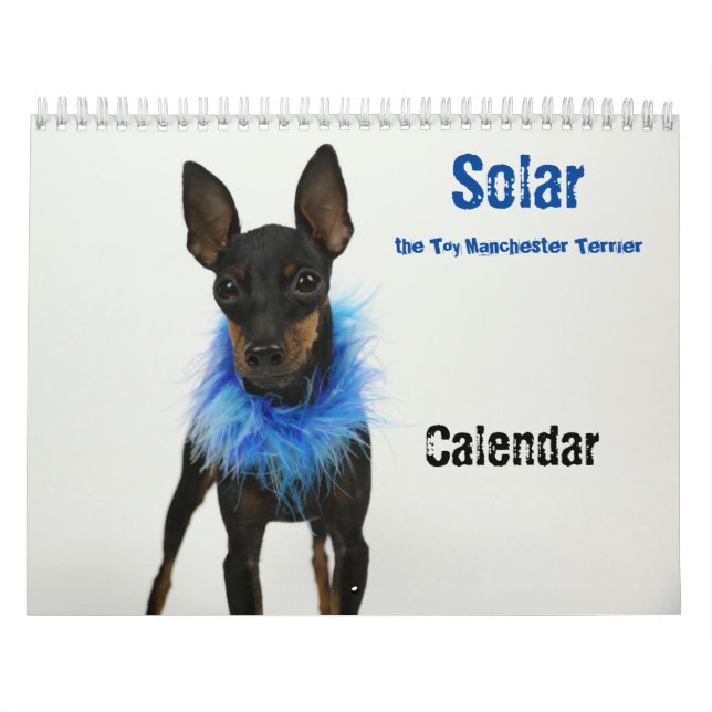 Calendário Manchester Terrier Calendar 2021 B (Capa)