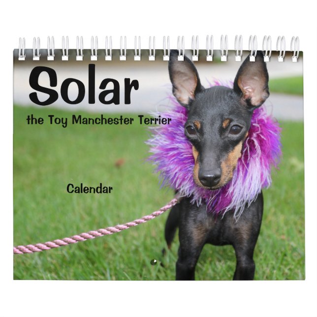 Calendário Manchester Terrier Small 2021 Calendar A (Capa)
