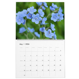 Calendário Maravilhas de Flores Silvestres – Um Ano de Beleza
