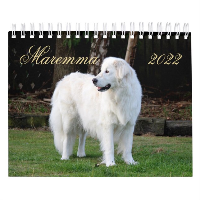 Calendário Maremma sheepdog 2022 Pequeno Calendário, Branco (Capa)