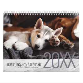 Calendário Mármore Branco Moderno - Foto Pet Personalizada de