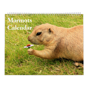 Calendário Marmots 2022