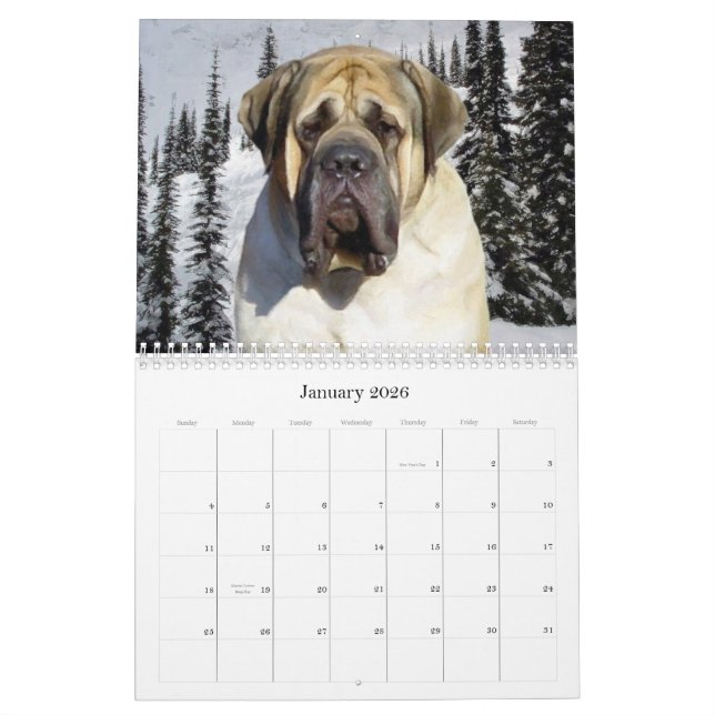 Calendário Mastiff (Jan 2026)