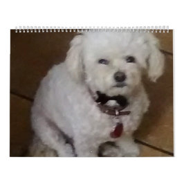 Calendário Mattie e Amigos