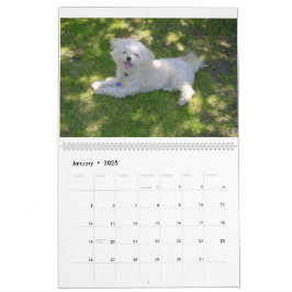 Calendário Mattie e Amigos