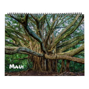 Calendário Maui Espetacular