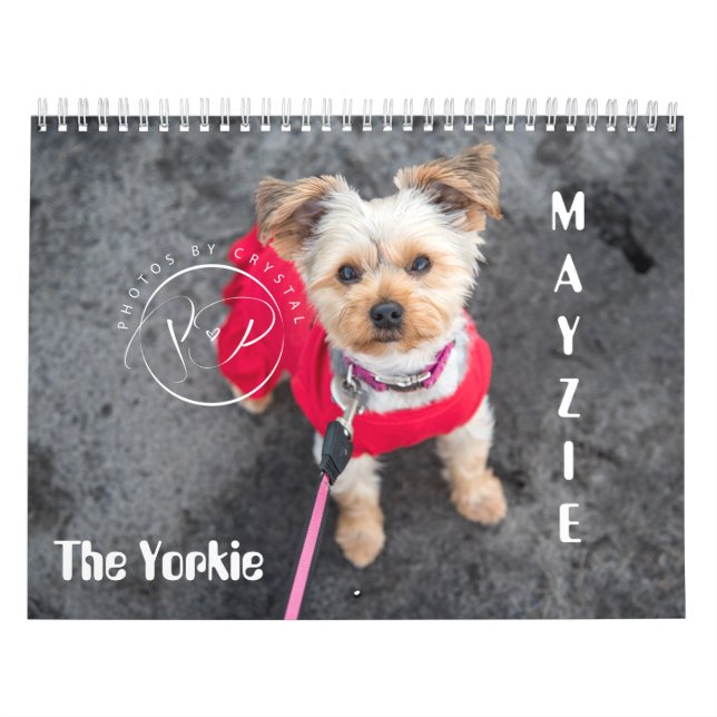 Calendário Mayzie (Estilo 2021) (Capa)
