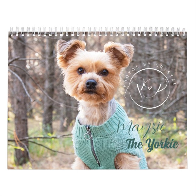 Calendário Mayzie III (Estilo 2023) (Capa)