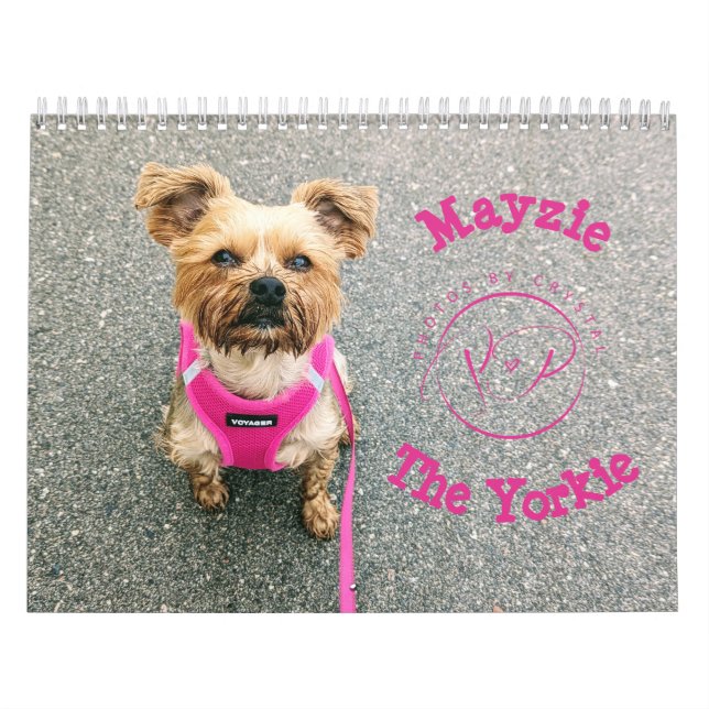 Calendário Mayzie IV (Estilo 2024) (Capa)