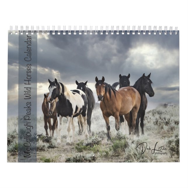 Calendário McCullough Peaks Cavalos Selvagens (Capa)