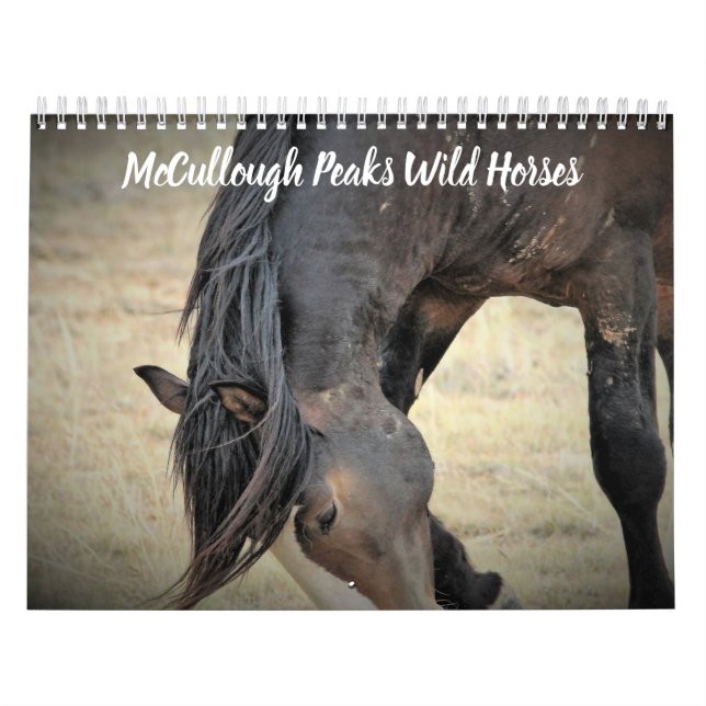 Calendário McCullough Peaks Cavalos Selvagens (Capa)