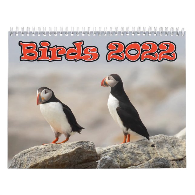 Calendário médio de duas páginas, branco (Capa)