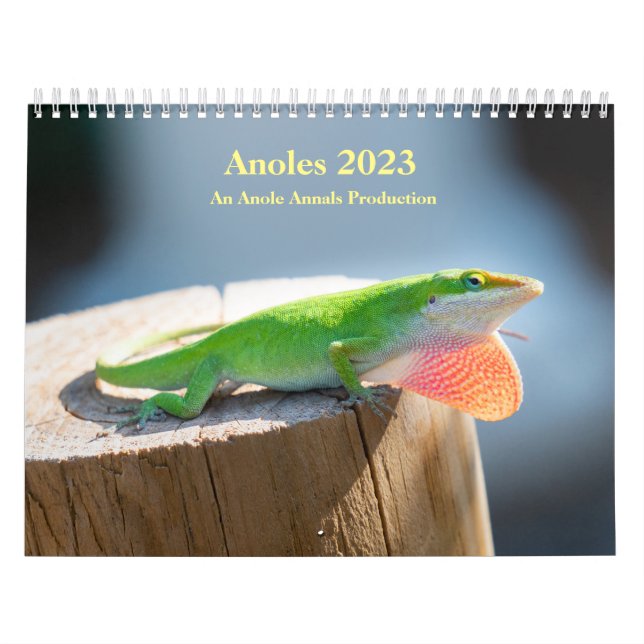 Calendário médio de duas páginas, branco (Capa)