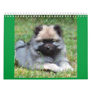 Calendário médio de duas páginas, branco