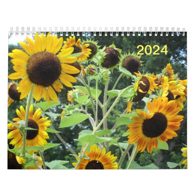Calendário médio de duas páginas, branco (Capa)