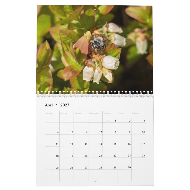 Calendário Médio de Duas Páginas, Calendário Branc (Abr 2027)